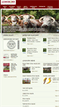 Mobile Screenshot of longhorncattlesociety.com